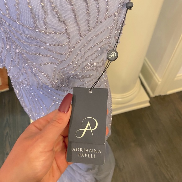 COPY - NEW Adrianna Papell Silver Beaded Gown - Picture 5 of 10